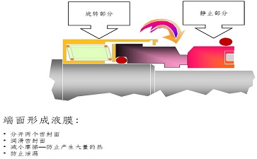 1675737316692577.jpg A2.jpg