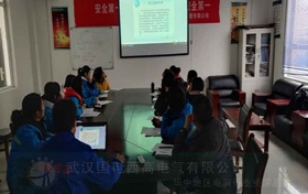 國電西高受邀為湖北照章電力提供調試服務