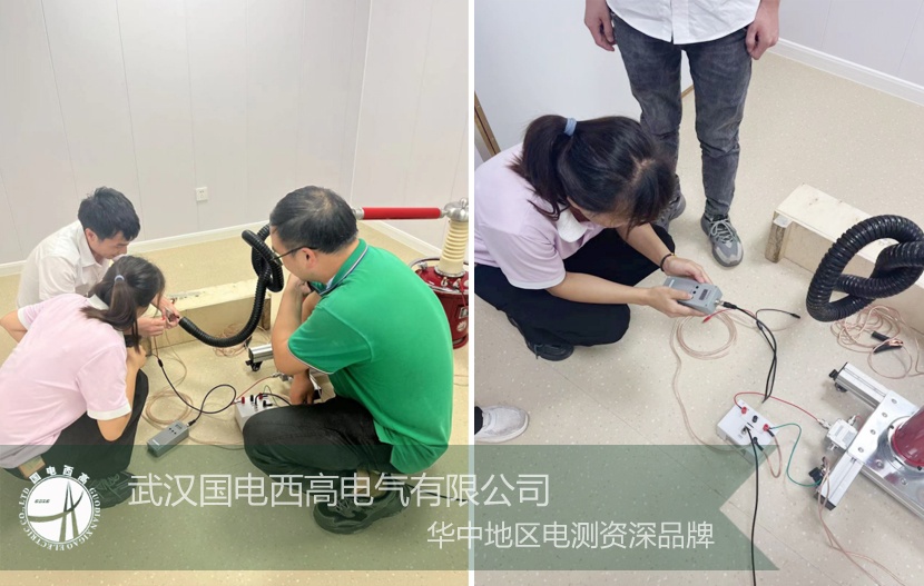 國(guó)電西高為廣東客戶提供調(diào)試培訓(xùn)服務(wù)