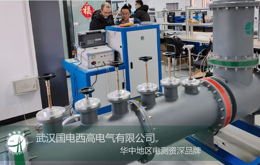 直擊現場 |國電西高完成GIS局放模擬裝置聯調及專業(yè)實操培訓