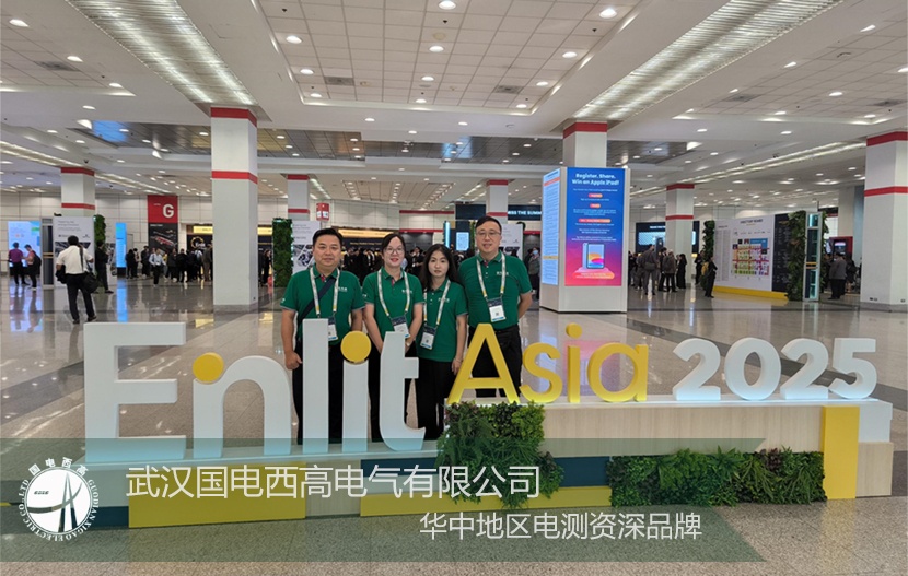 武漢國電西高電氣有限公司圓滿結束 Enlit Asia 2025 泰國參展之旅