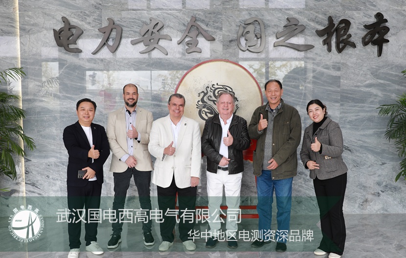 以實力為基，以誠意為橋：國電西高喜迎國際核心客戶深度探訪